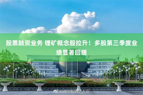 股票融资业务 锂矿概念股拉升!多股第三季度业绩显著回暖