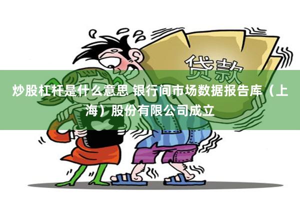 炒股杠杆是什么意思 银行间市场数据报告库（上海）股份有限公司成立