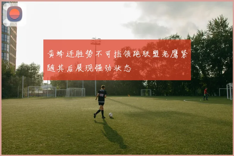 黄蜂连胜势不可挡领跑联盟老鹰紧随其后展现强劲状态