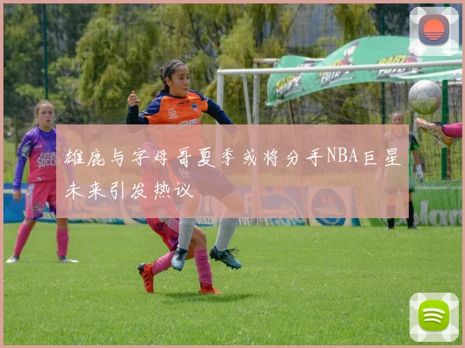 雄鹿与字母哥夏季或将分手NBA巨星未来引发热议