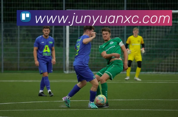 华体会平台生态图